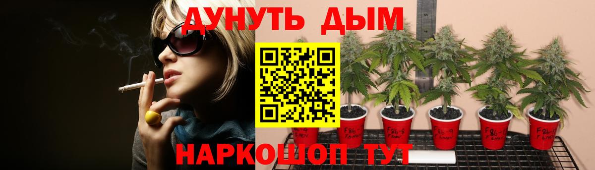Канабис VHQ  МАРИХУАНА сатива  Вход с VPN  Кудрово  Каннабис THC 21% 